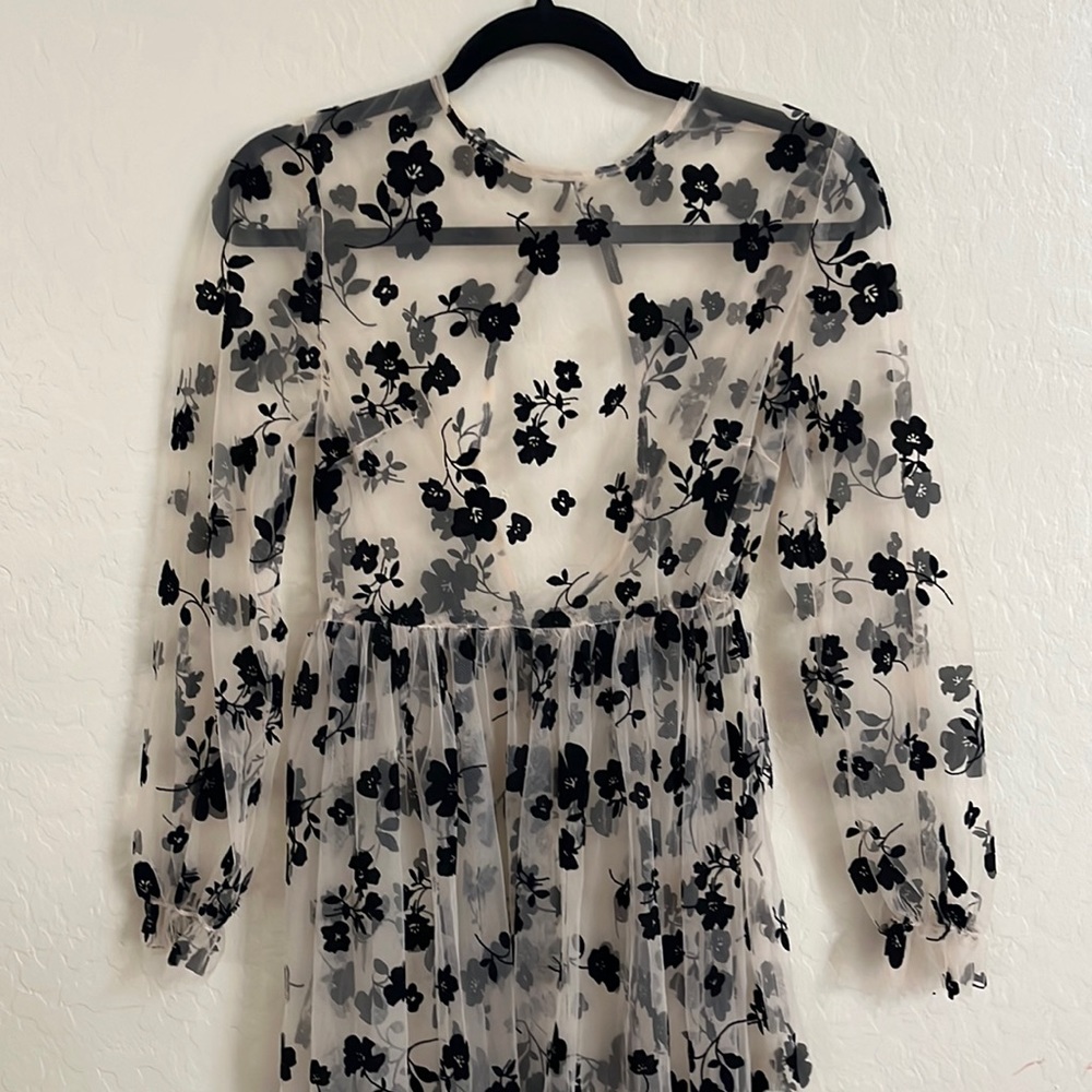 romantic sheer dress with aplique